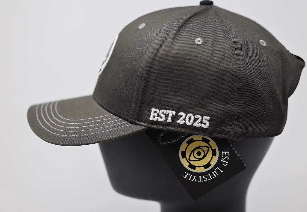 CHARCOAL 3D SNAPBACK